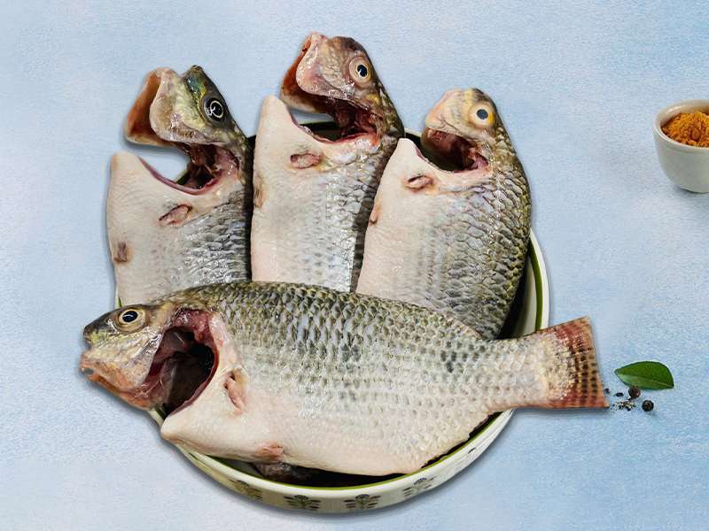 Queen Poa/Red Poya Small Belly Clean & Drees