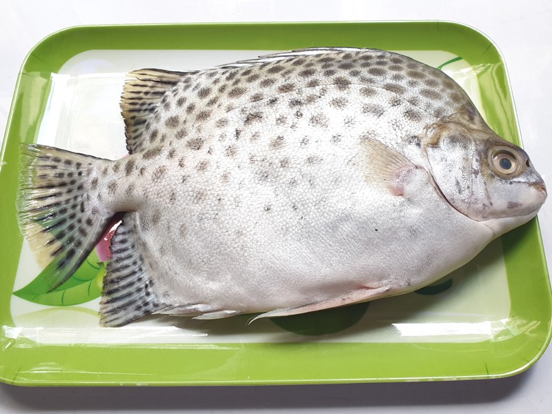 Payra Fish whole