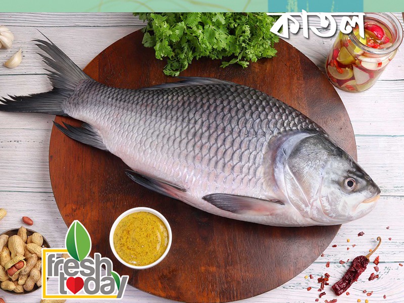 River Katol Fish Whole (Size: 3kg  আস্ত মাছ অর্ডার করে পছন্দ মতো ফ্রি কেটে নিতে পারবেন!