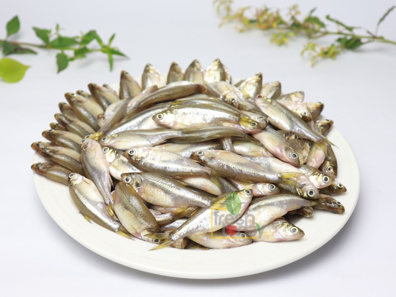 Deshi Mola Fish Whole (আস্ত মাছ )