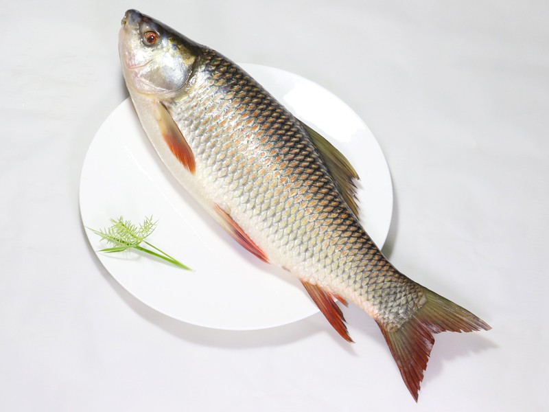 Deshi Rui Fish Whole (Size:1.5Kg)  আস্ত মাছ অর্ডার করে পছন্দ মতো ফ্রি কেটে নিতে পারবেন!