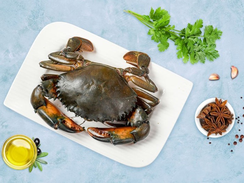 Mud Crab (সুন্দর বনের কাকড়া)  Mud Crab (Large)