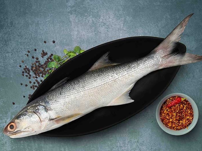 Indian Salmon Whole (Size: 2kg)  One of the most famous fishes in the market having demand.