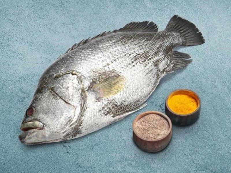 Black Snapper Whole (Size: 2kg)