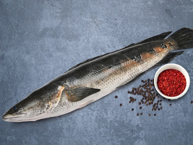 Gojar/Shol Fish whole