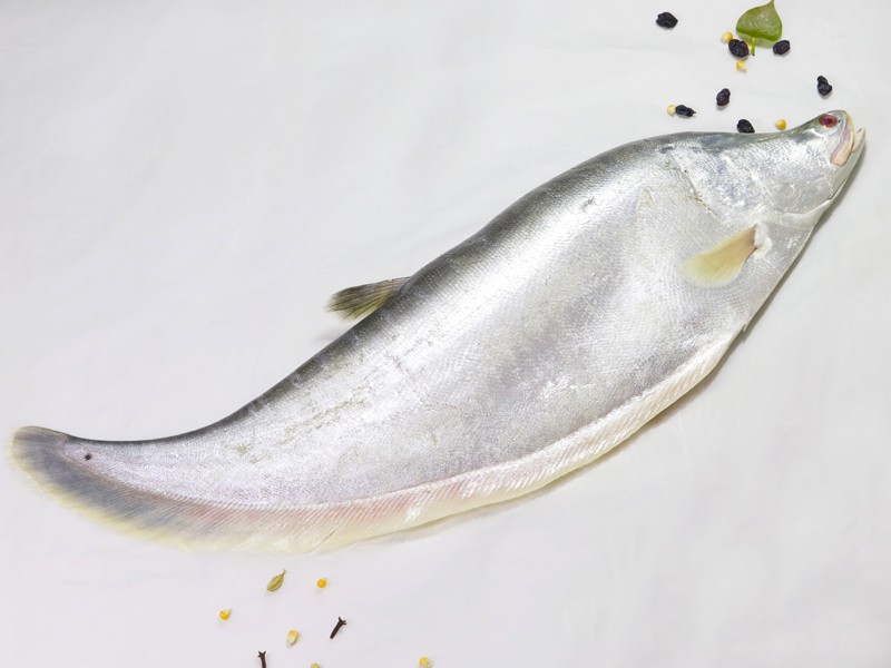 River Chitol Fish Whole (Size: 2kg)