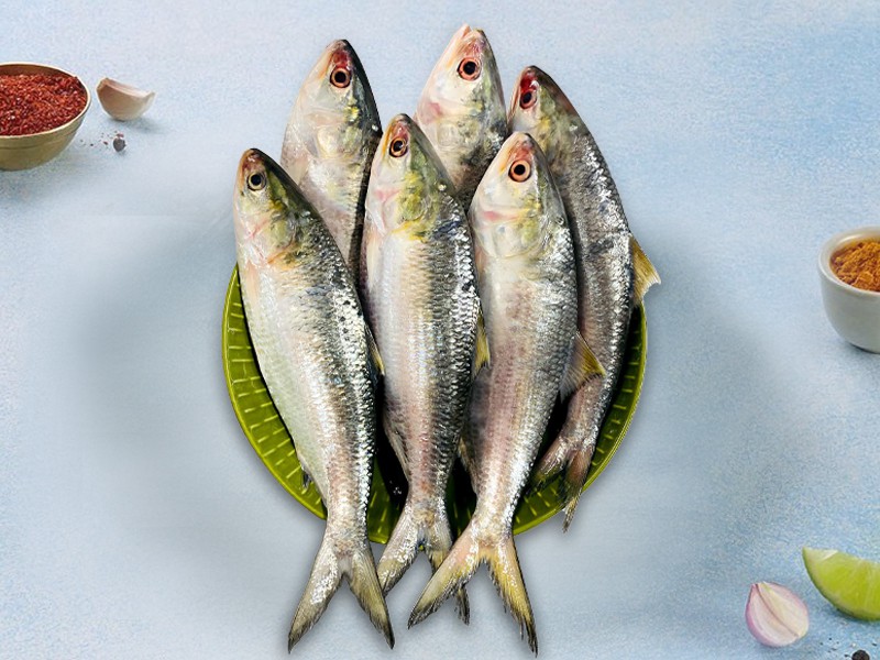Hilsha Fish Small Whole (Size- 5-6 pcs)