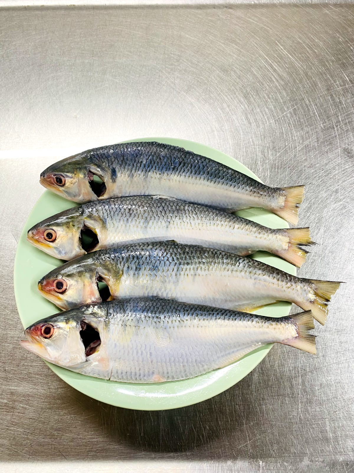 Hilsha Fish Small Clean & Dressed (Size-5-6 Pcs)