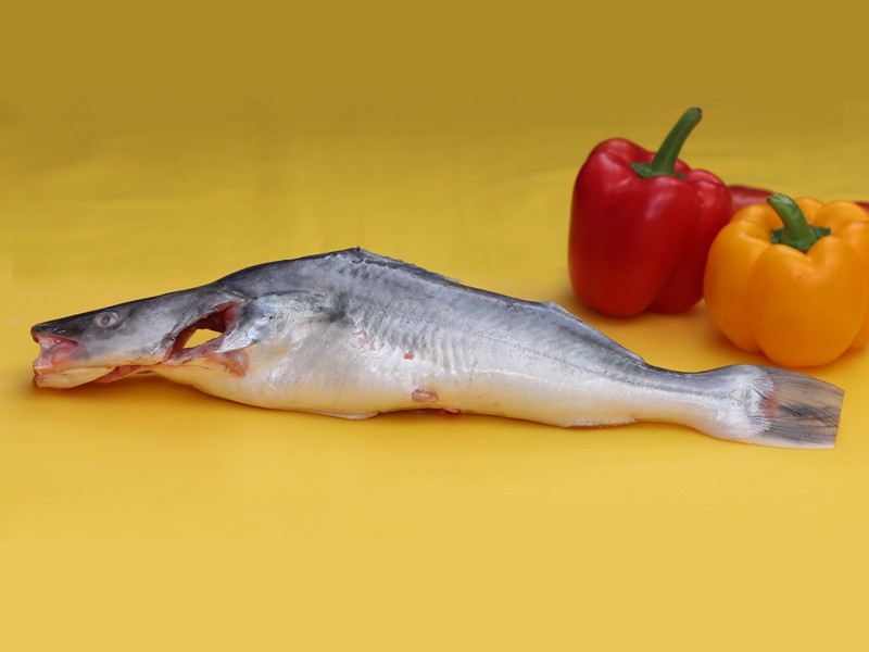 River Ayer Fish Belly Clean & Dressed (Size: Small 3pcs kg)

সম্পূর্ণ কাটা-বাছার পর সকল উচ্ছিষ্ট বাদ দিয়ে পরিস্কার পরিচ্ছন্ন